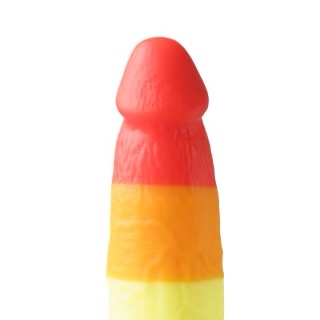 Rainbow Colored Dildo With Suction Cup